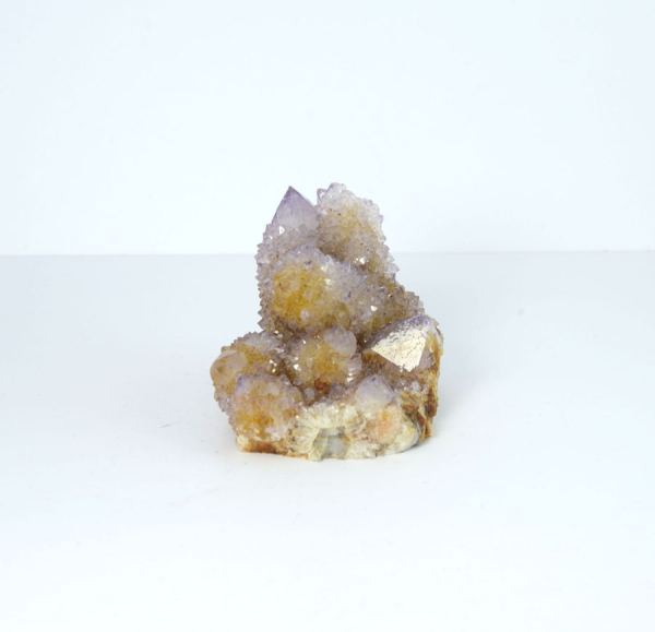 Unikat Amethyst Kaktusquarz MIttel