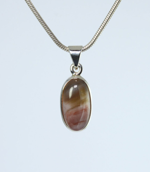 Unikat Anhänger Versteinertes Holz Bunt Oval 16x8 mm
