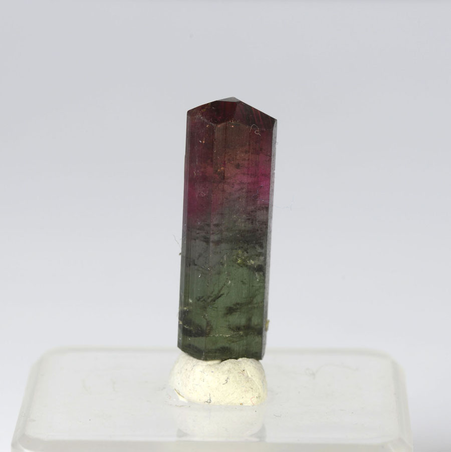 Unikat Turmalin-Kristall Mehrfarbig | Karfunkel Mineralien