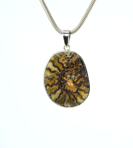 Unikat Anhänger Ammonit