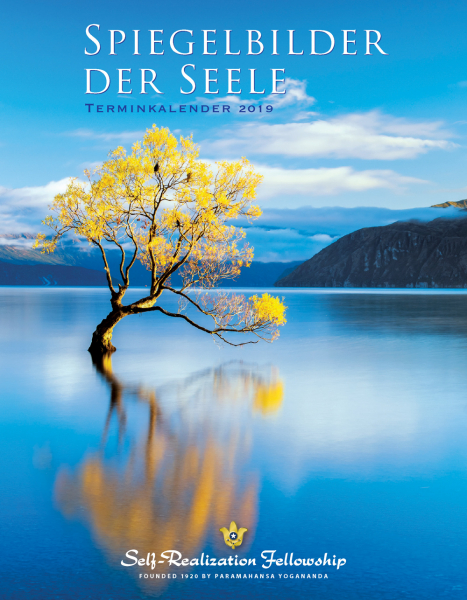 Spiegelbilder der Seele 2019