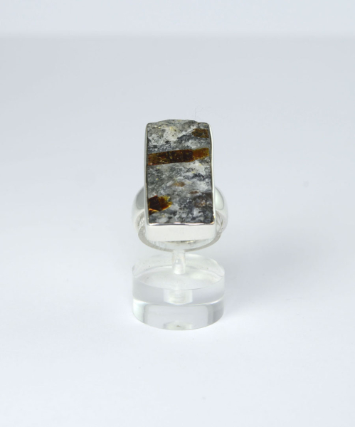 Unikat Ring Astrophyllith