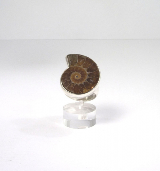 Unikat Ring Ammonit