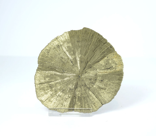 Unikat Pyrit Sonne Extra XL