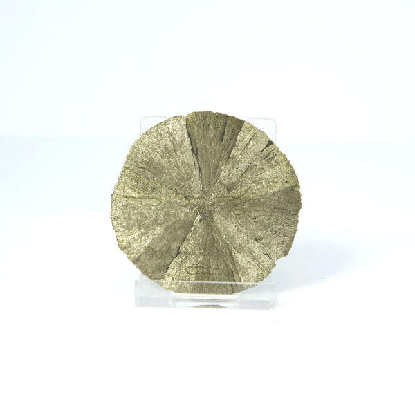 Unikat Pyrit Sonne Extra Groß