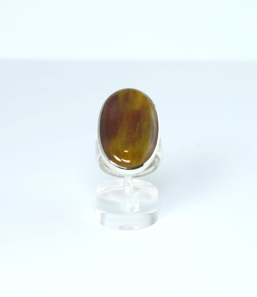Unikat Ring Versteinertes Holz bunt Oval 29x17 mm